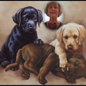 Meet your Posher, Jean